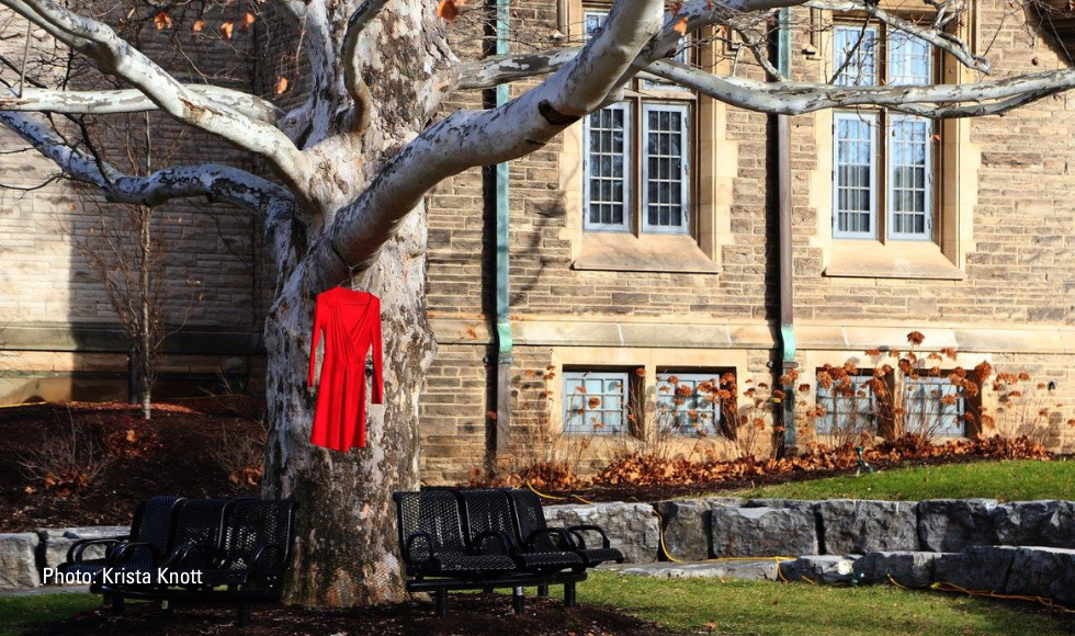 Red dress hanging from a tree