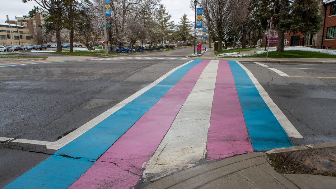 painted road crosswalk